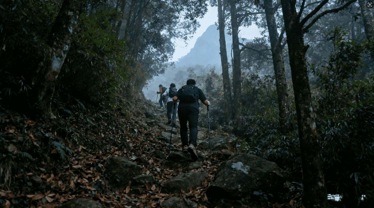 实用免费登ins的加速器大全及优化技巧